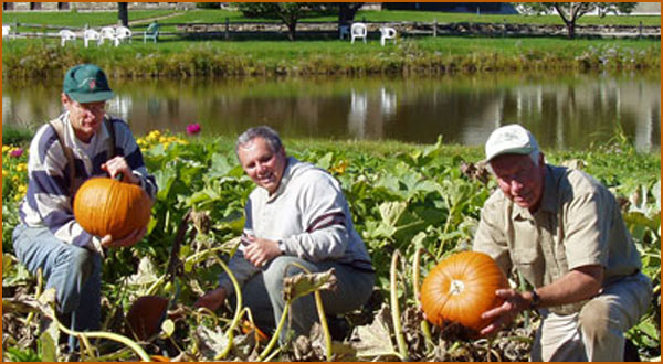 brothers harvesting pumpkins