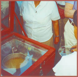 baking a cake in a solar oven