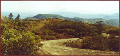 mountain scene