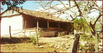 a new house in the countryside