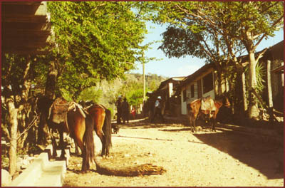 street scene